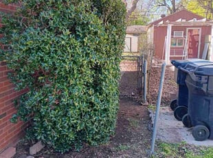 Bush Trimming by Joshua Mcinturff for Hannah H. in Oklahoma City, OK