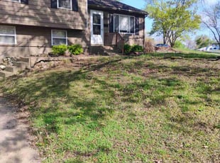 Cleanups by Andrew Hendrickson for Molly C. in Kansas City, MO