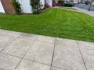 Portia B.'s Grass Cutting service result