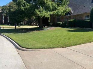 Anita B.'s Lawn Mowing Service service result