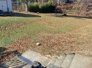 Leaf Removal by Tarah0 Reuther for Penny W. in Columbus, OH