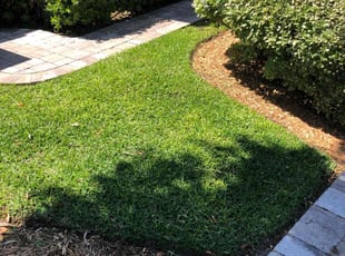 Anjuli D.'s Lawn Service service result