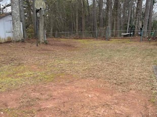 Leaf Removal by Greg Dorival for Earnest B. in Decatur, GA