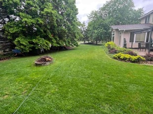 Correy E.'s Lawn Maintenance service result