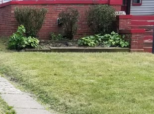 Bush Trimming by Kelvin Grove for Donnie D. in Cleveland, OH