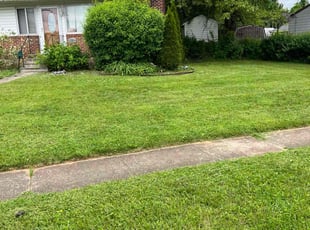 Yolanda S.'s Lawn Mowing Service service result