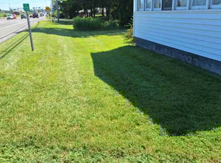 Jose O.'s Lawn Service service result