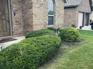 Bush Trimming by Noah Fiechtner for Sylvia H. in Hutto, TX