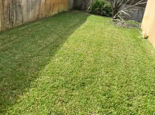 Craig S.'s Lawn Care service result