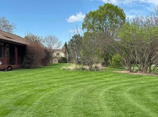 Tracey E.'s Lawn Service service result