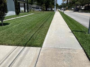 Ingrid R.'s Lawn Mowing Service service result