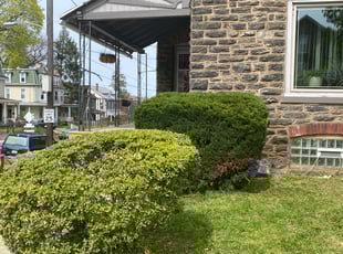 Bush Trimming by Chevis Mcleod for Nathan A. in Philadelphia, PA