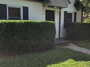 Bush Trimming by Christopher Darnell for Kim h. in Nashville, TN