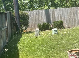 Bush Trimming by Jordan Banks for Sandra G. in Rosharon, TX
