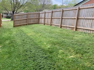 Ann N.'s Lawn Mowing service result