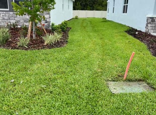 Jacqueline F.'s Lawn Service service result