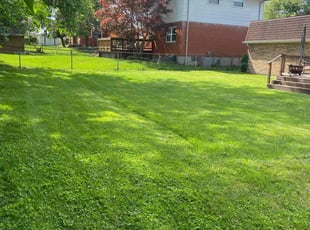 Sarah H.'s Lawn Service service result