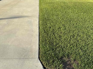 Darrell W.'s Lawn Service service result