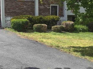 Bush Trimming by Zachary Krenik for Janice J. in Huntingtown, MD