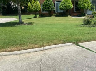 Gwen G.'s Lawn Mowing service result