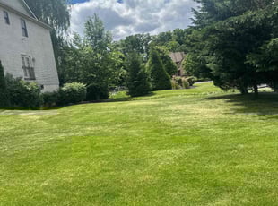 Marilyn H.'s Grass Cutting service result