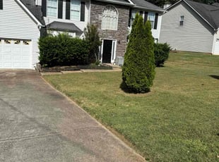 Michael C.'s Grass Cutting service result
