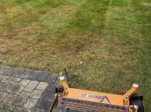 Leaf Removal by Rony Bonilla for Vishal V. in Westfield, NJ