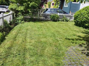 Anthony S.'s Lawn Care service result