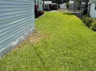Mary A.'s Lawn Care service result