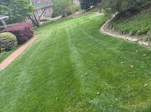 Fred J.'s Lawn Service service result