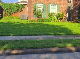 Mouhamed D.'s Lawn Maintenance service result