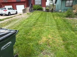 Sheila M.'s Lawn Service service result