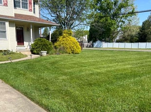 Lisa T.'s Lawn Service service result