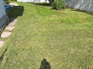 Mikki K.'s Lawn Service service result