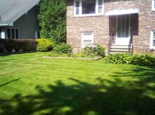 lorrel m.'s Lawn Care service result