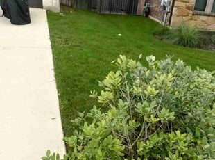 Larry C.'s Lawn Care service result