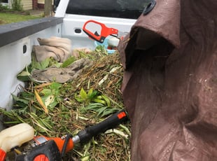 Cleanups by James Breeden for William W. in Hamburg, NY