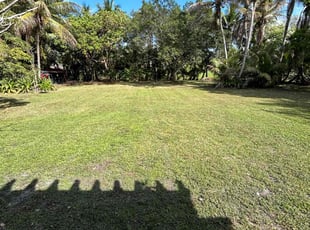 Shane J.'s Grass Cutting service result