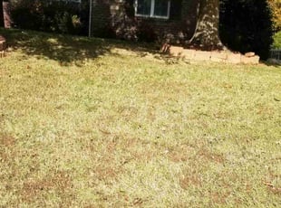 Leaf Removal by James Steele for Connor B. in Indian Trail, NC