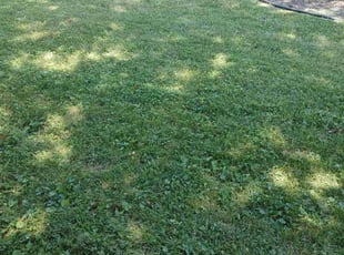 Cleanups by Jeffery Richardson for Lee P. in Cincinnati, OH