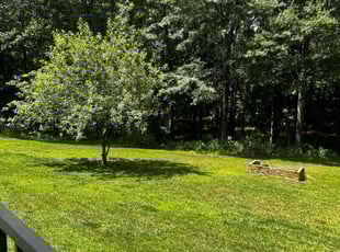 Janie B.'s Lawn Maintenance service result