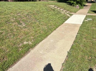 Weeding by James Littlejohn for Nicholas B. in Plano, TX