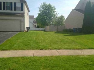 Michael S.'s Lawn Mowing Service service result