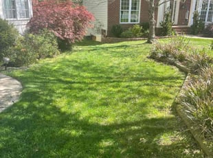 Logan S.'s Yard Cutting service result