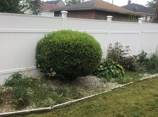 Cleanups by Demetrius Bennett Jr for Willa E. in Cleveland, OH
