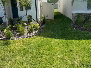 Mike K.'s Lawn Care service result