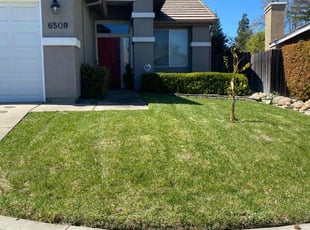 Garry M.'s Lawn Service service result