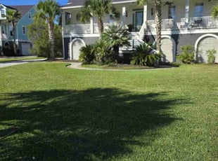Hamilton D.'s Lawn Service service result