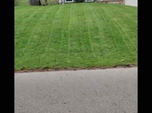 Ronald G.'s Lawn Mowing service result
