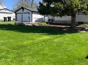 Lily P.'s Lawn Service service result
